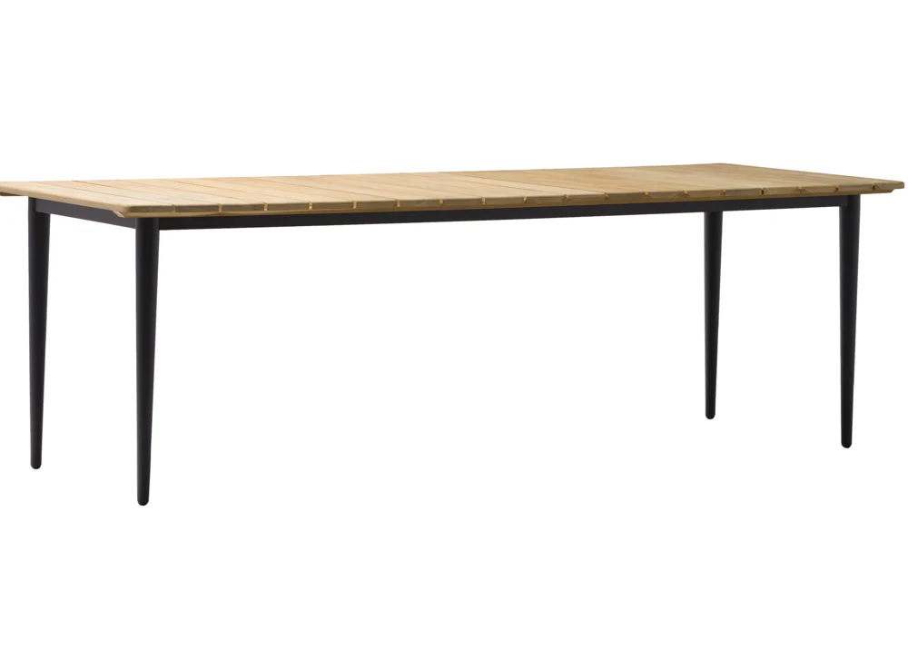 Zebra Spider Tisch Teak