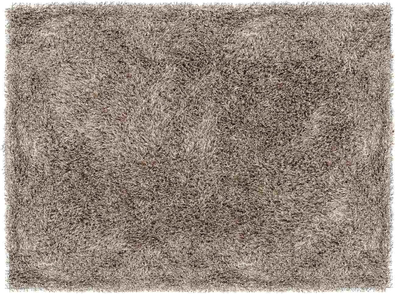 Teppich Crown aus Stoff, modern, braun, rechteckig 200x300 cm, pflegeleicht für Indoor - Must Living