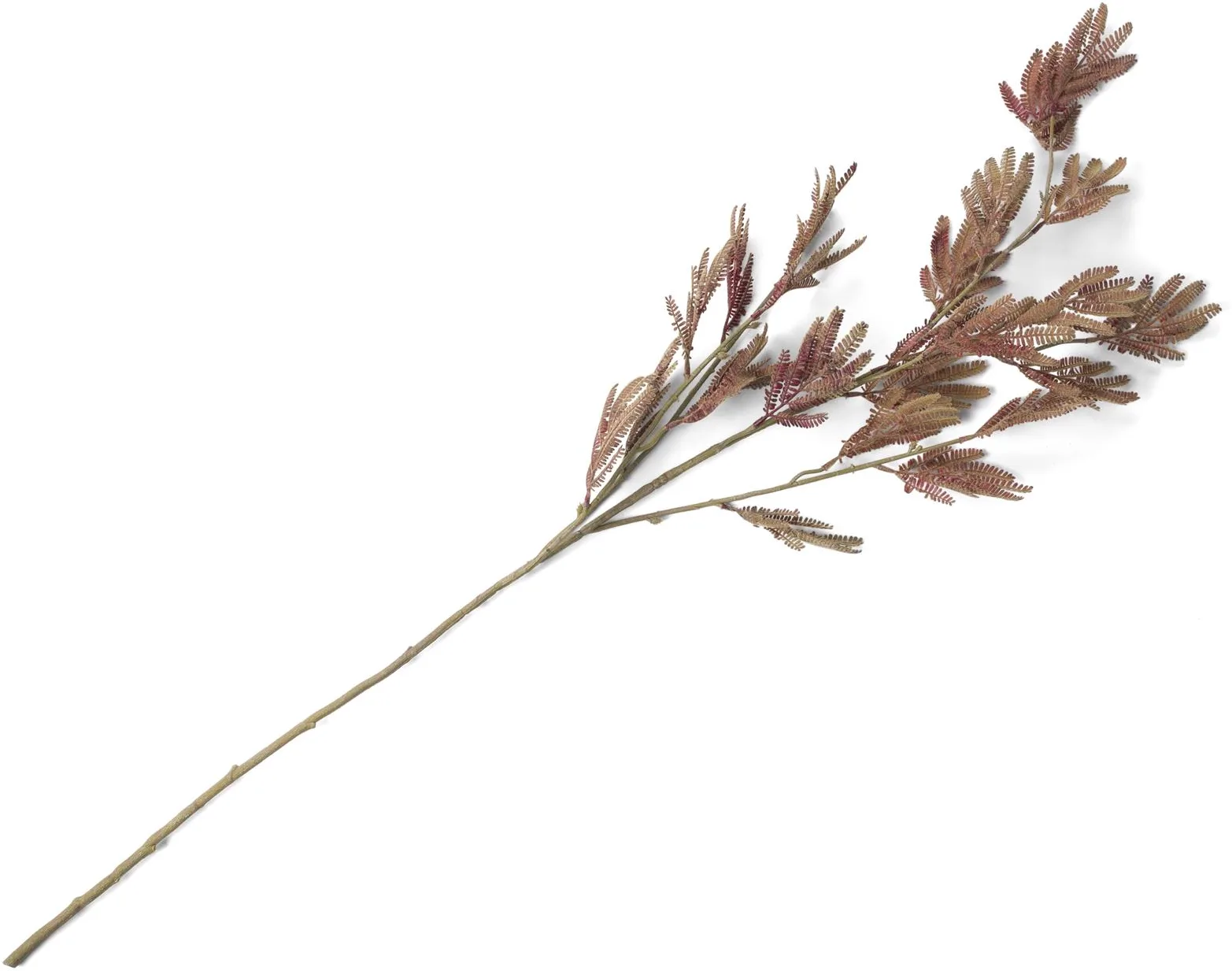 Coco Maison Mimosa Leaf Spray Kunstblume H115cm