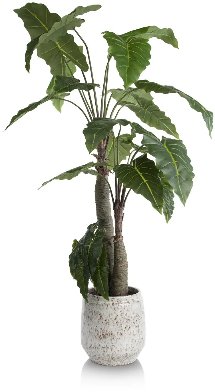Coco Maison Alocasia Giant Tree H180cm Kunstpflanze