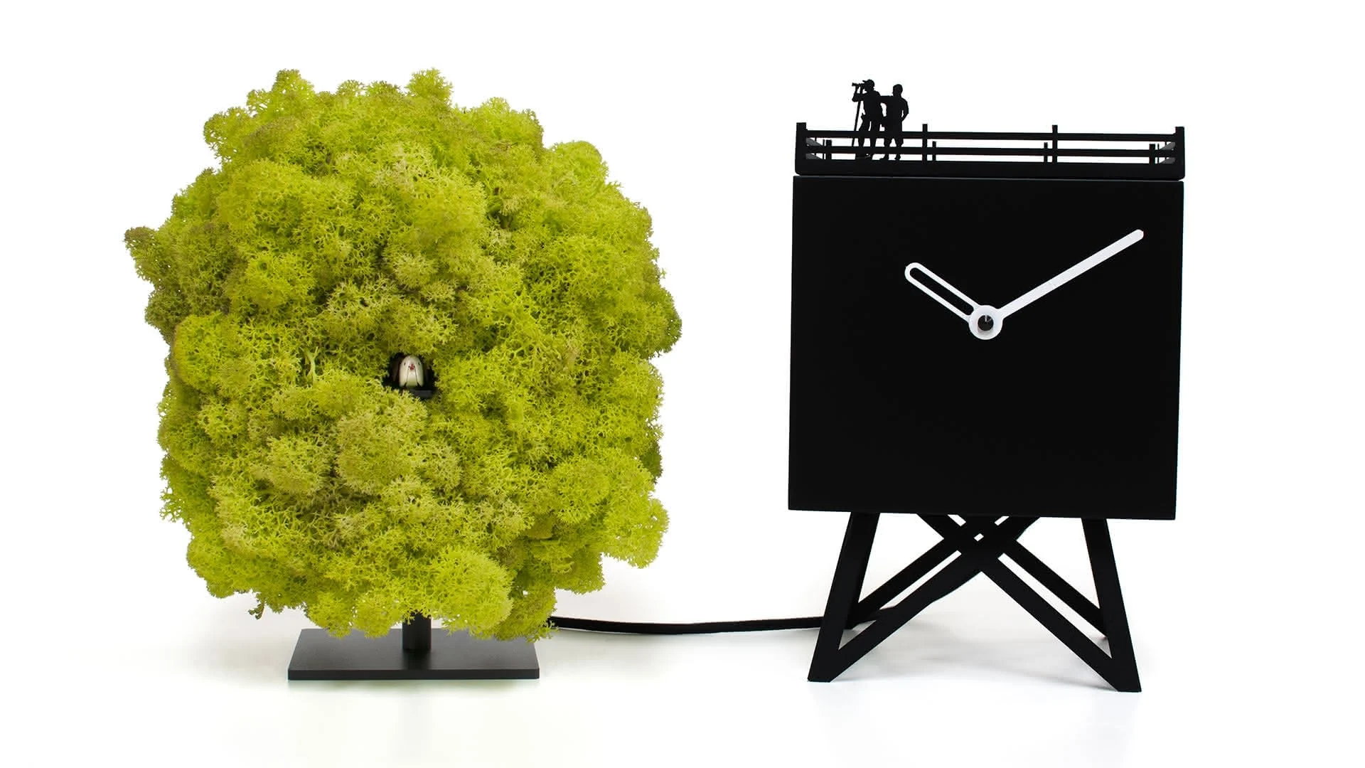 BIRDWATCHING - Progetti
