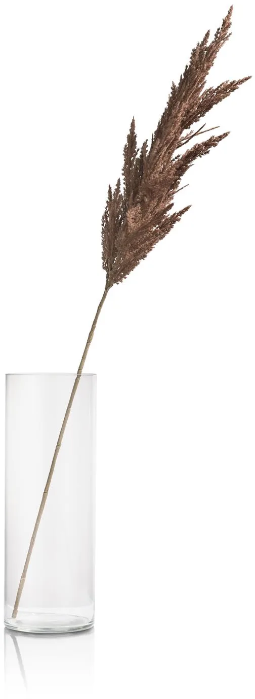Coco Maison Pampas Grass Spray Kunstpflanze H115cm