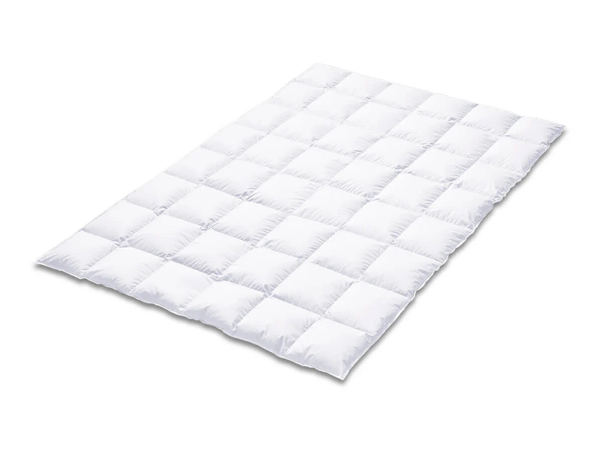 Kauffmann Eiderdaunendecke Exclusiv Winterdecke